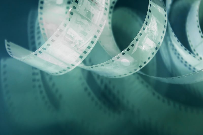 Lights Camera Action